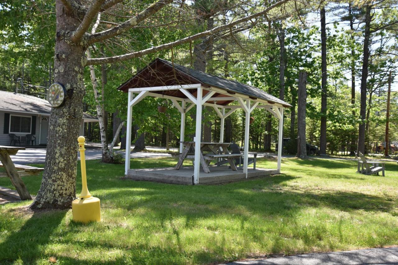 Acadia Pines Motel Bar Harbor Zewnętrze zdjęcie
